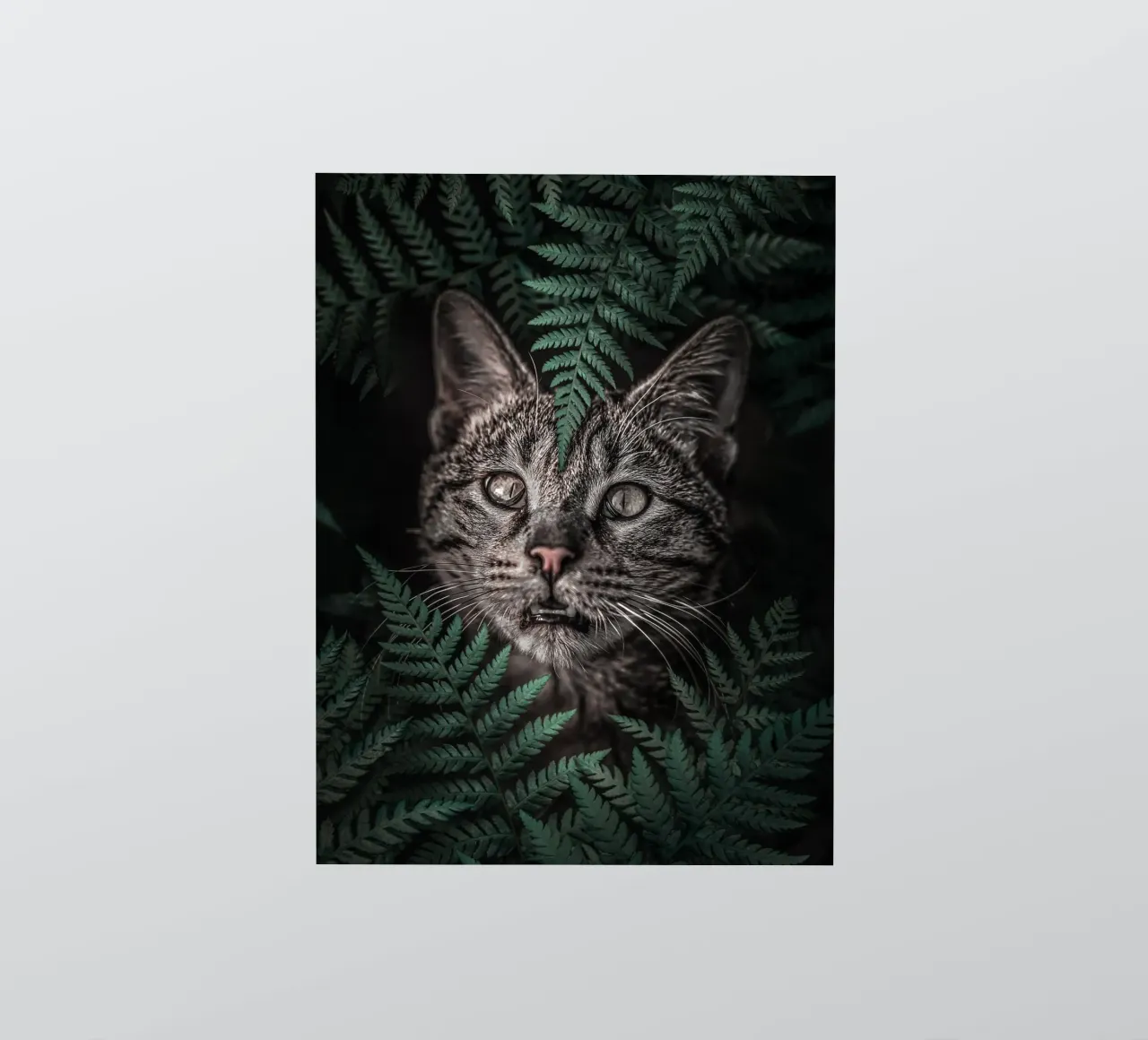 Meow Cat in Felci adesivo da arizrab