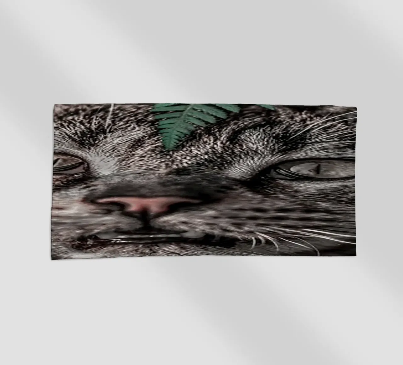 Meow Cat in Felci telo mare da arizrab