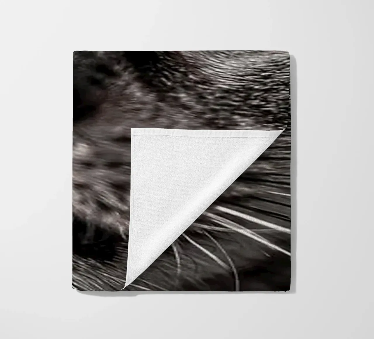 Meow Cat in Felci telo mare da arizrab