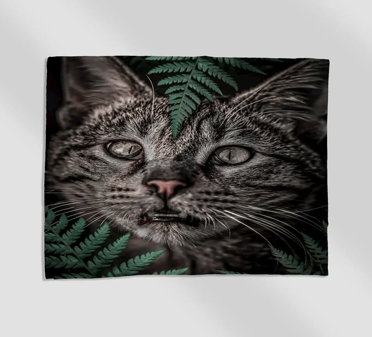 Meow Cat in Felci telo mare da arizrab