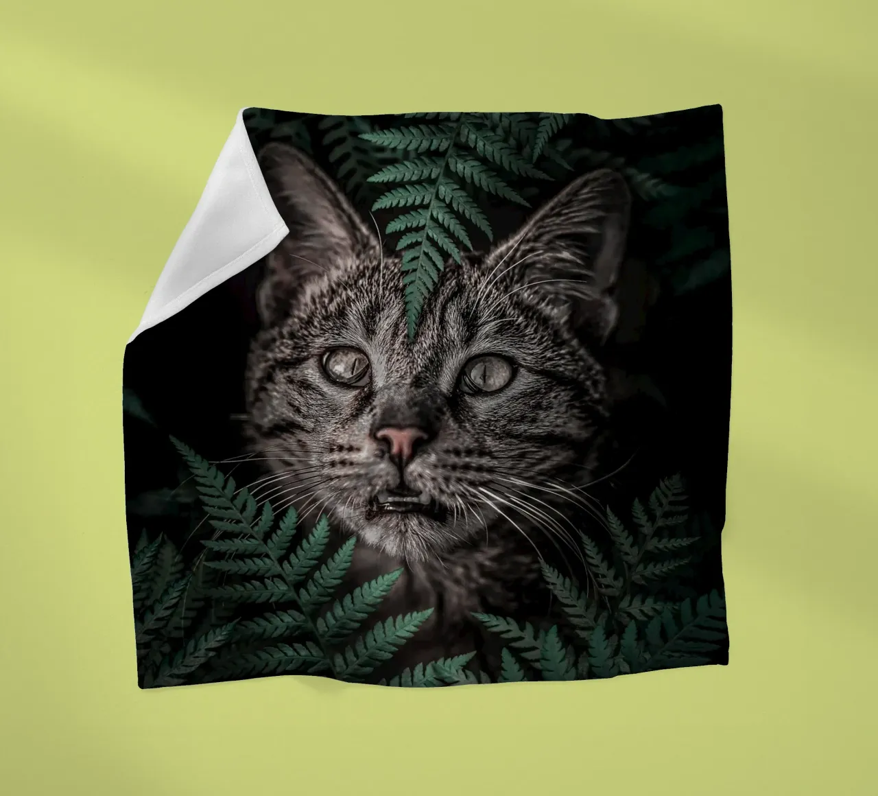 Meow Cat in Felci coperta in pile da arizrab