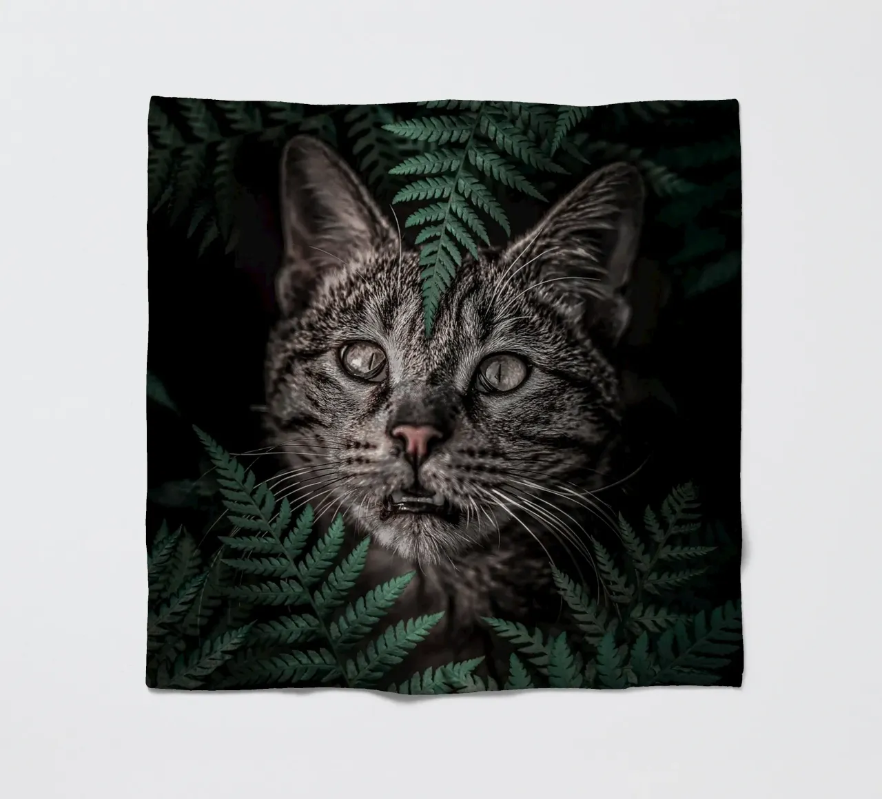 Meow Cat in Felci coperta in pile da arizrab