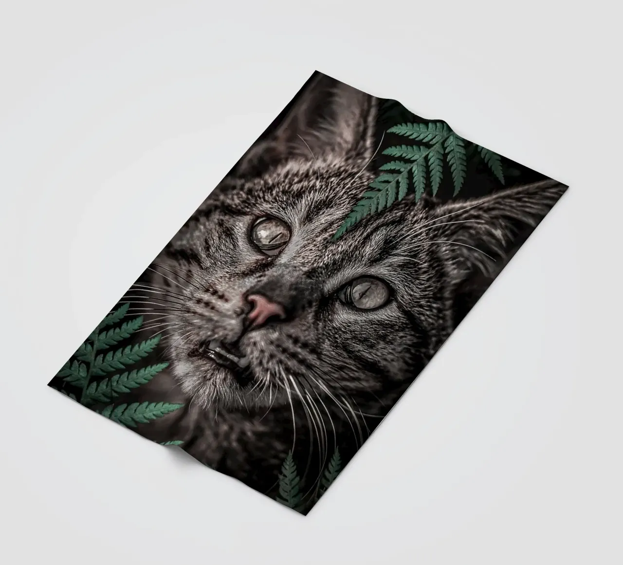 Meow Cat in Felci coperta in pile da arizrab