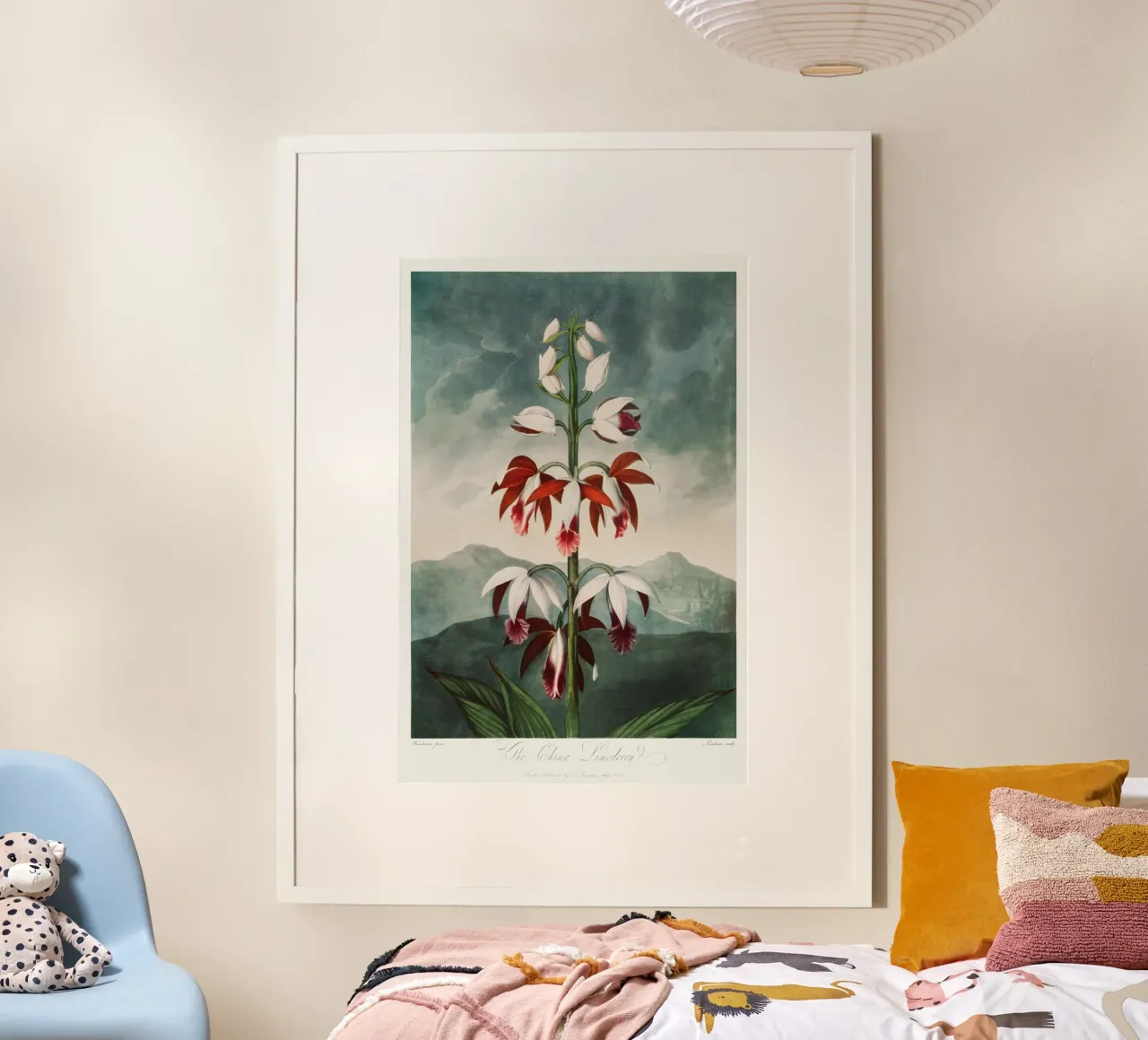 Robert John Thornton - The Chinese Limodoron from poster with plastic frame by Old Masters