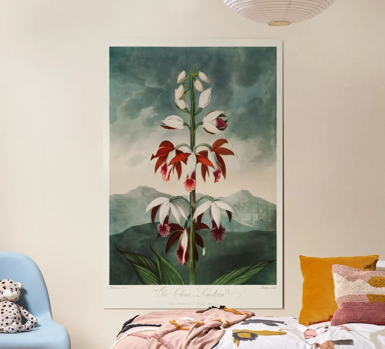 Robert John Thornton - The Chinese Limodoron from poster with plastic frame by Old Masters