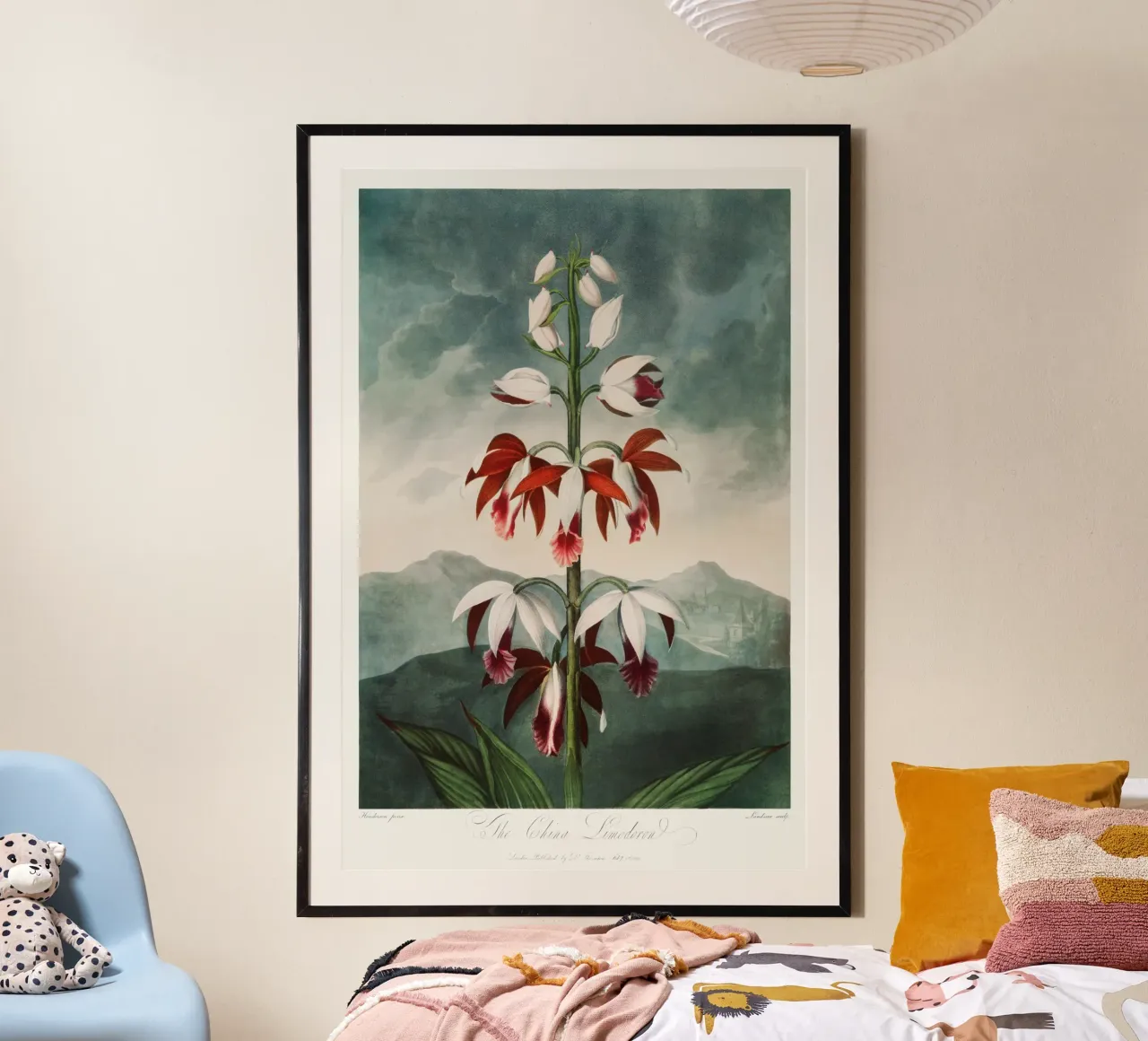Robert John Thornton - The Chinese Limodoron from poster with plastic frame by Old Masters