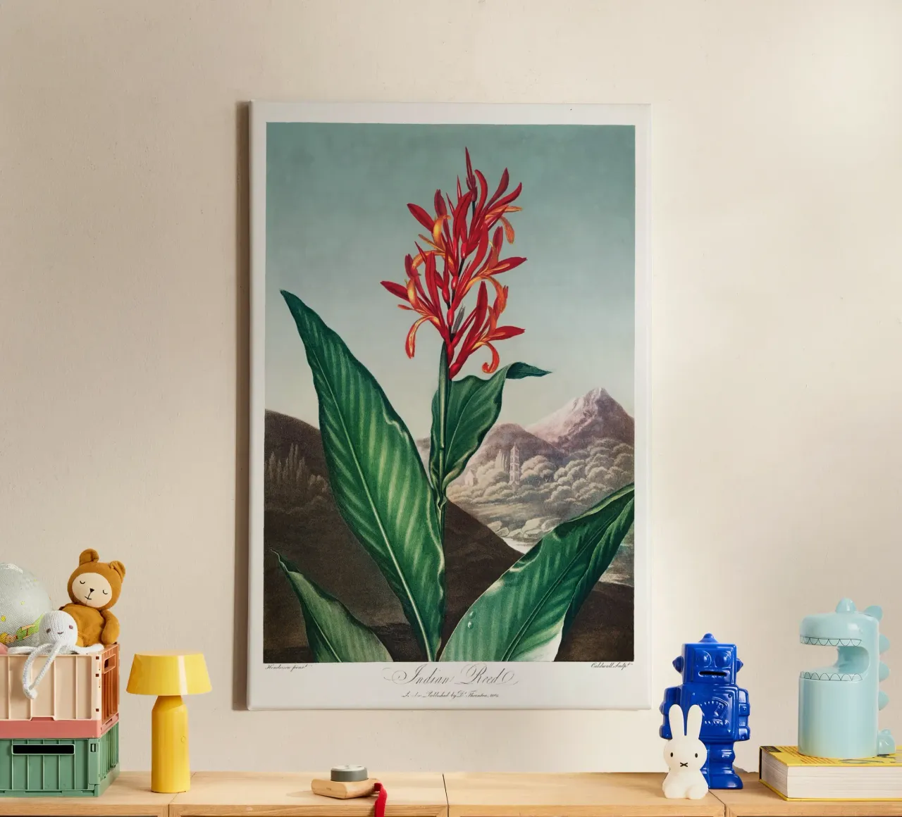 Robert John Thornton - Canna indiana tela con Cornice a cassetta da Old Masters