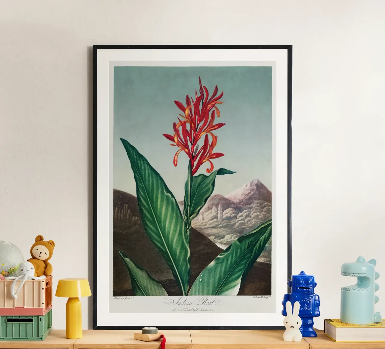 Robert John Thornton - Canna indiana poster con telaio in alluminio da Old Masters