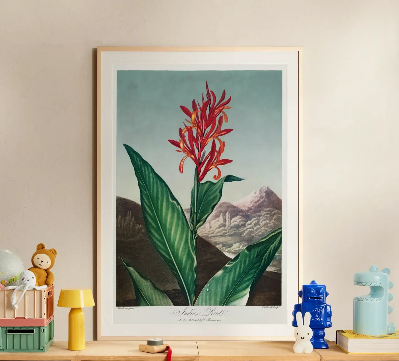 Robert John Thornton - Canna indiana poster con telaio in alluminio da Old Masters