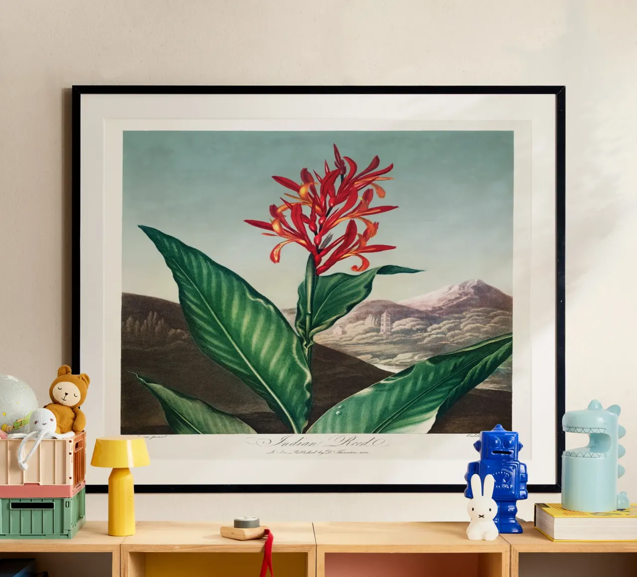 Robert John Thornton - Canna indiana poster con telaio in alluminio da Old Masters