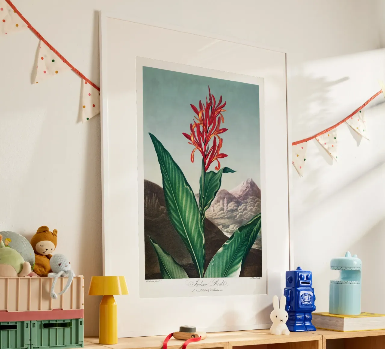 Robert John Thornton - Canna indiana poster con telaio in alluminio da Old Masters