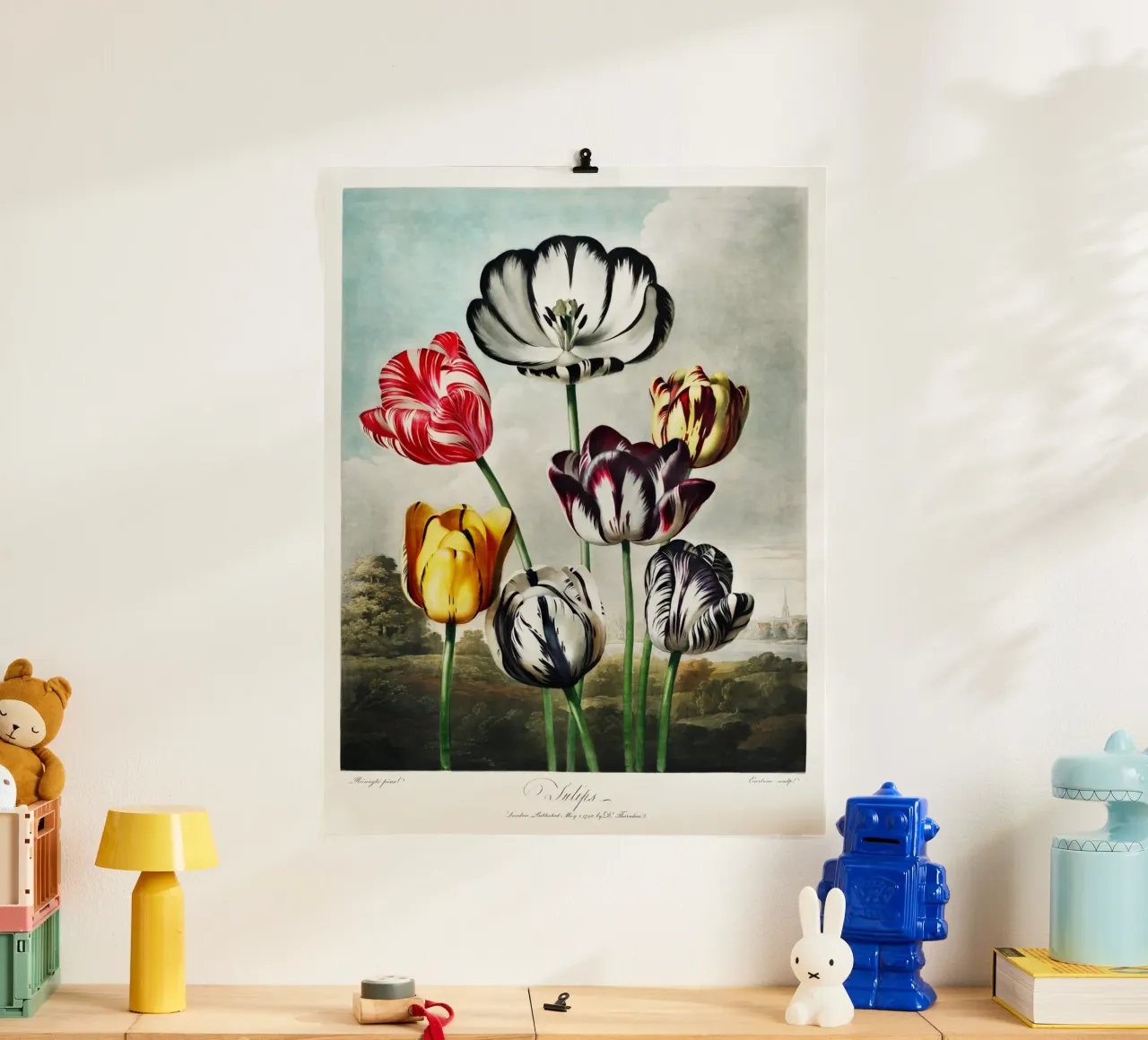 Robert John Thornton - Tulipani carta hahnemühle da Old Masters