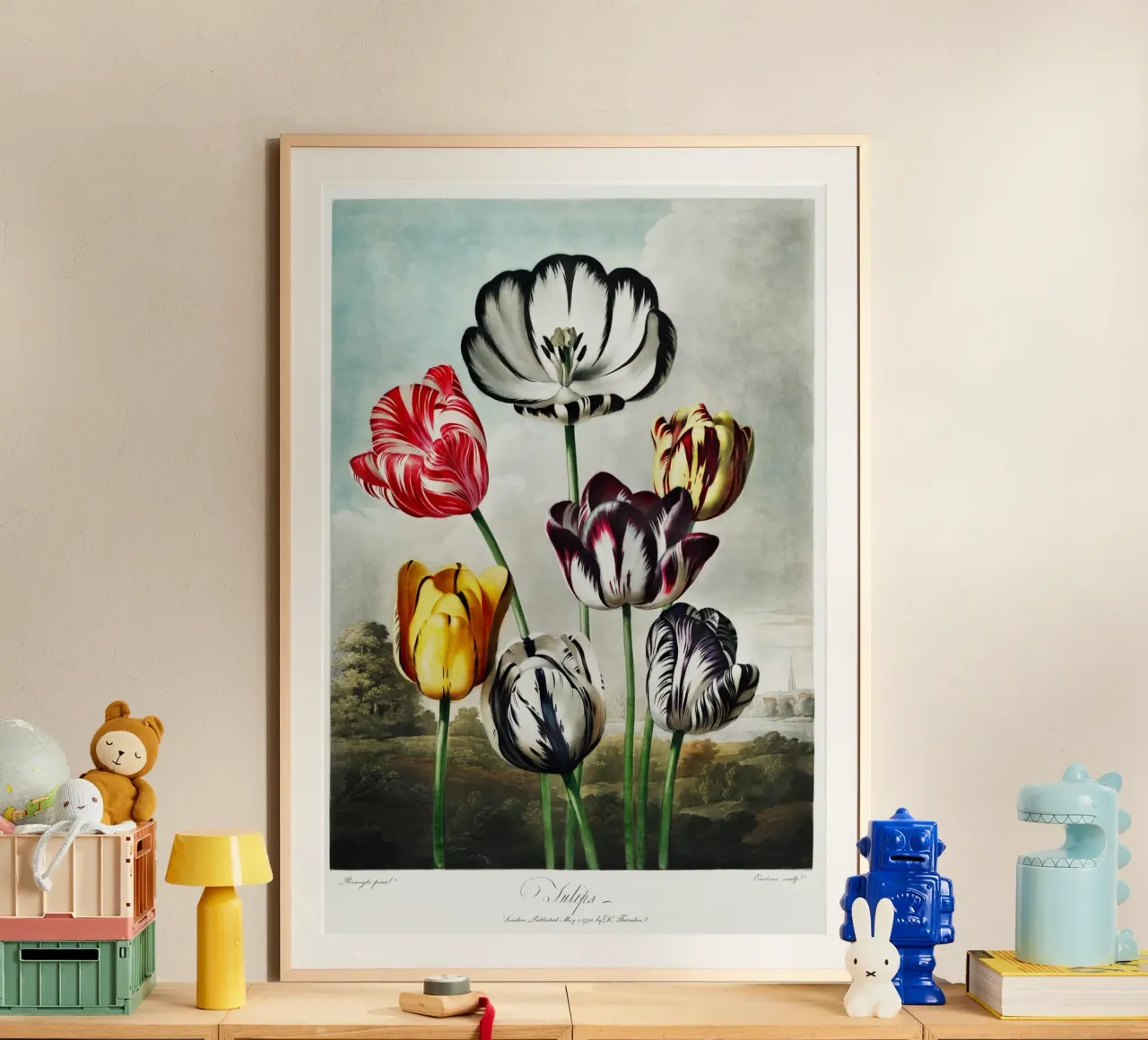 Robert John Thornton - Tulipani carta hahnemühle da Old Masters