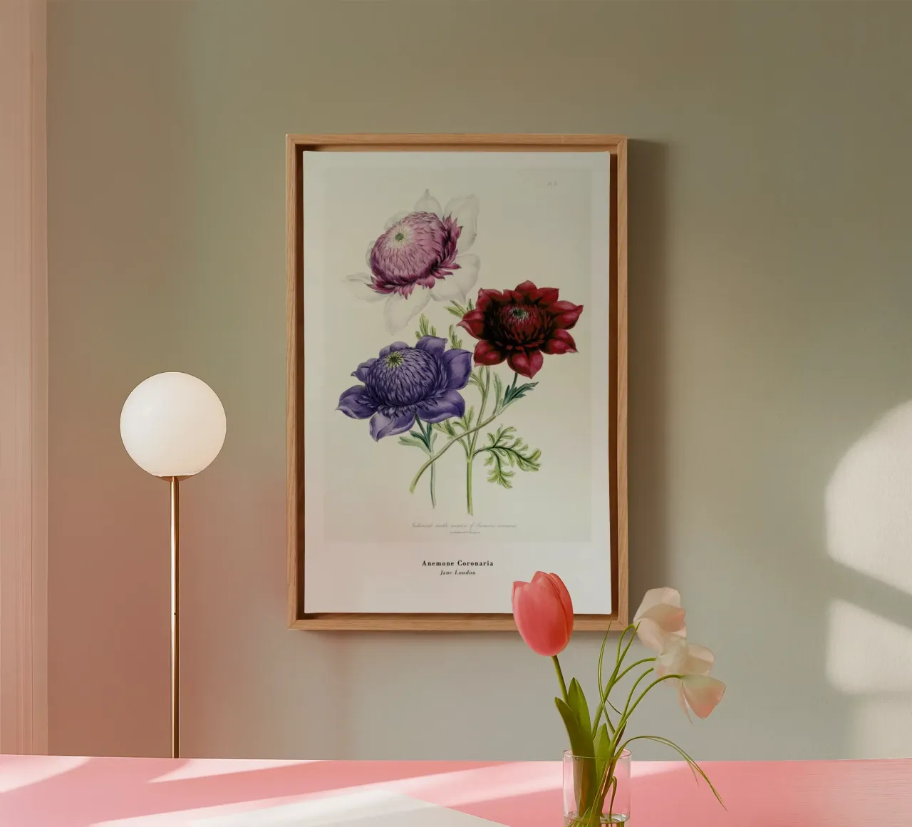 Jane Loudon - Anemone Coronaria tela con Cornice a cassetta da ARTOTHEK