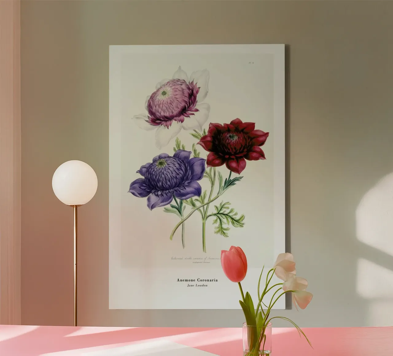 Jane Loudon - Anemone Coronaria tela con Cornice a cassetta da ARTOTHEK