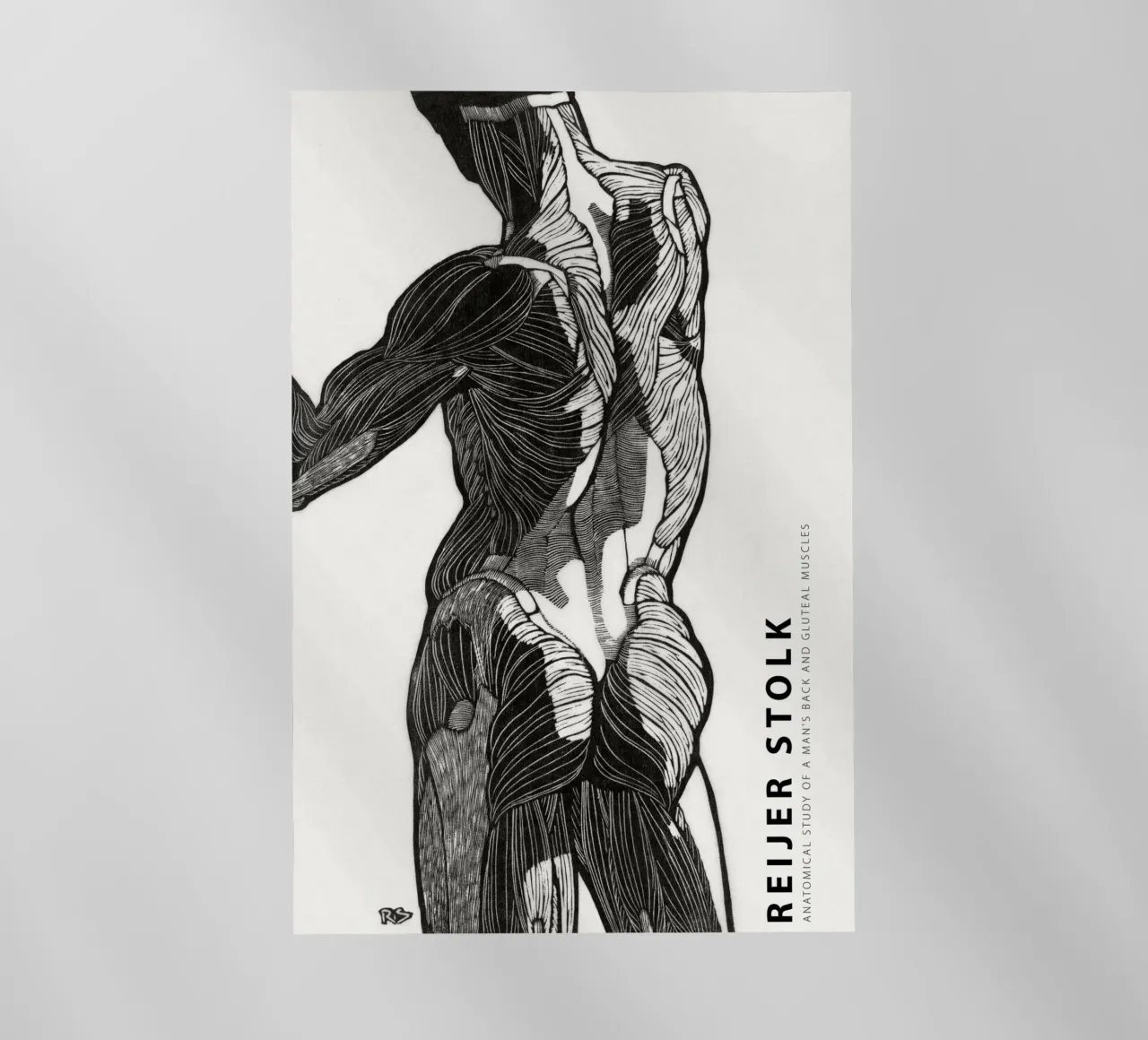 Reijer Stolk - Studio anatomico di un uomo 01 pellicola backlit da Old Masters