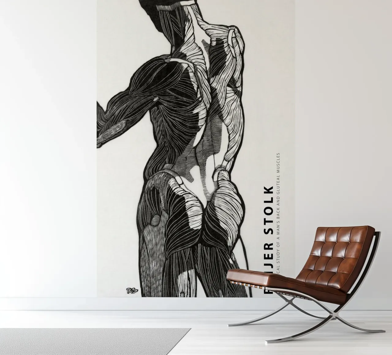 Reijer Stolk - Estudio anatómico de un hombre 01 papel para pared de Old Masters