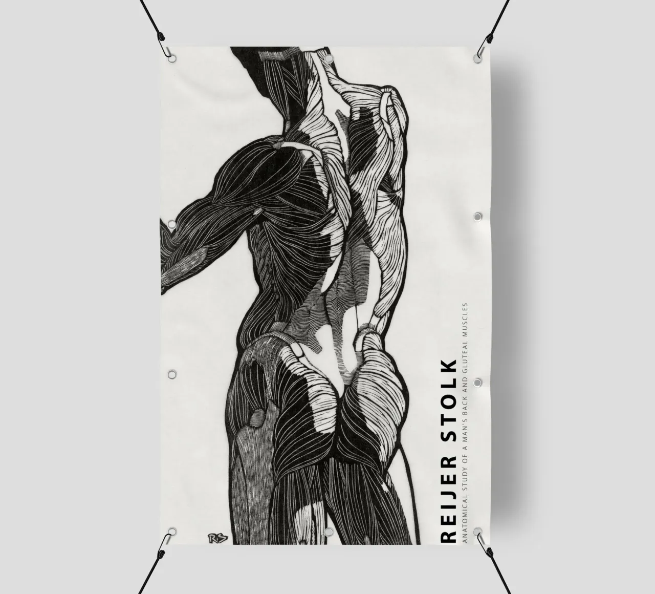 Reijer Stolk - Studio anatomico di un uomo 01 telo in pvc da Old Masters