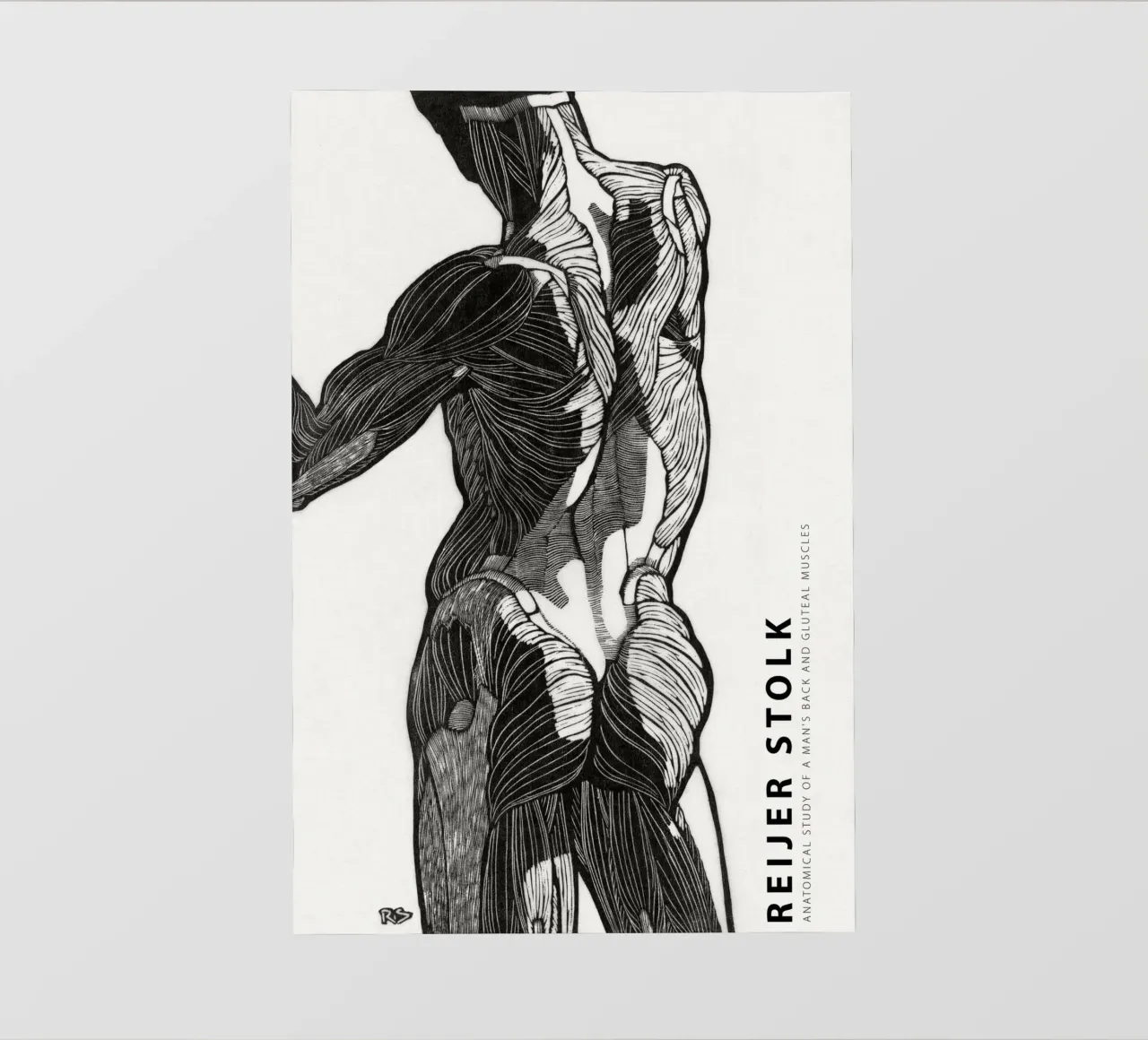 Reijer Stolk - Studio anatomico di un uomo 01 telo in pvc da Old Masters