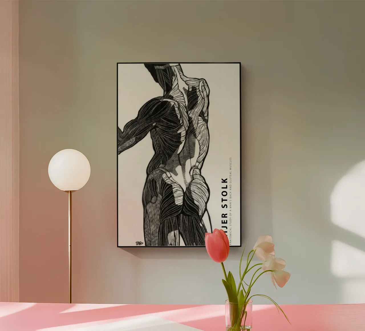 Reijer Stolk - Studio anatomico di un uomo 01 plexiglass da Old Masters