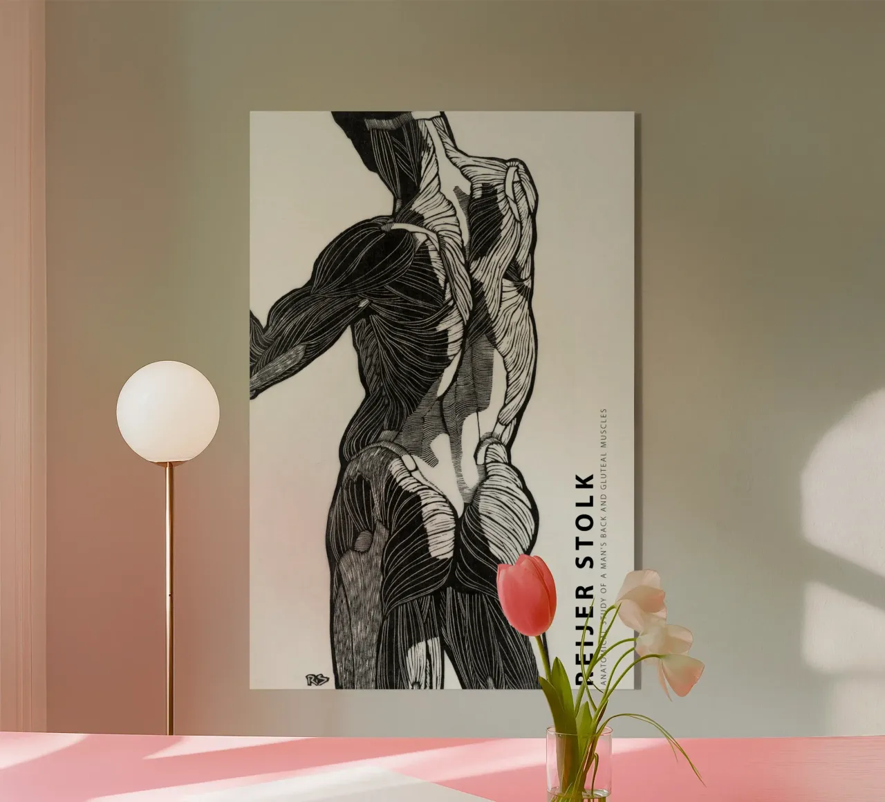 Reijer Stolk - Studio anatomico di un uomo 01 plexiglass da Old Masters