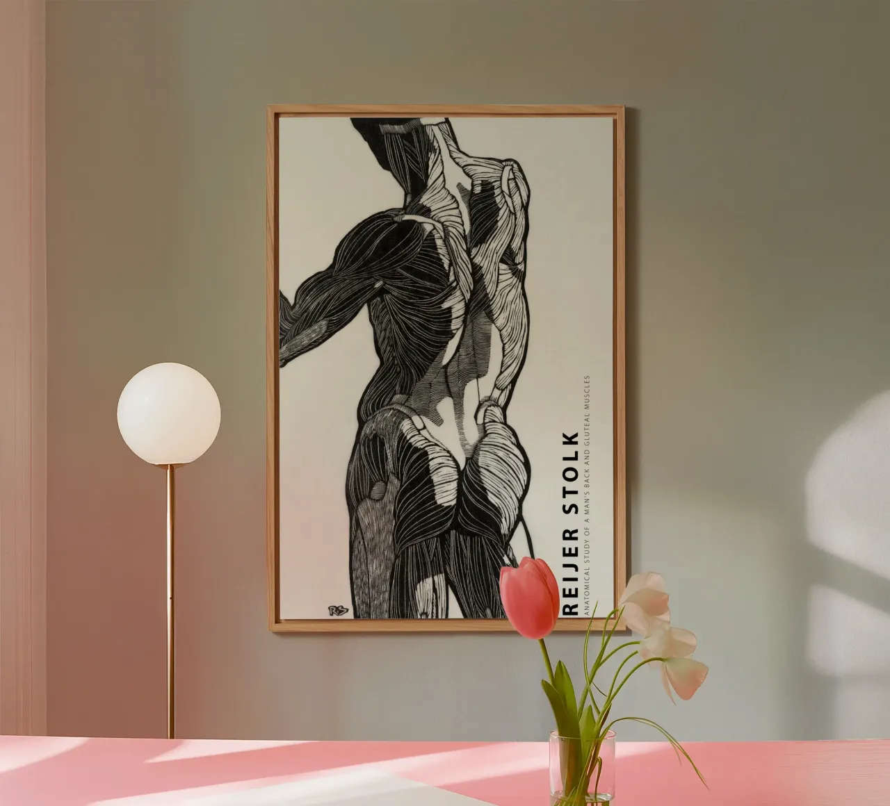 Reijer Stolk - Studio anatomico di un uomo 01 alluminio dibond da Old Masters