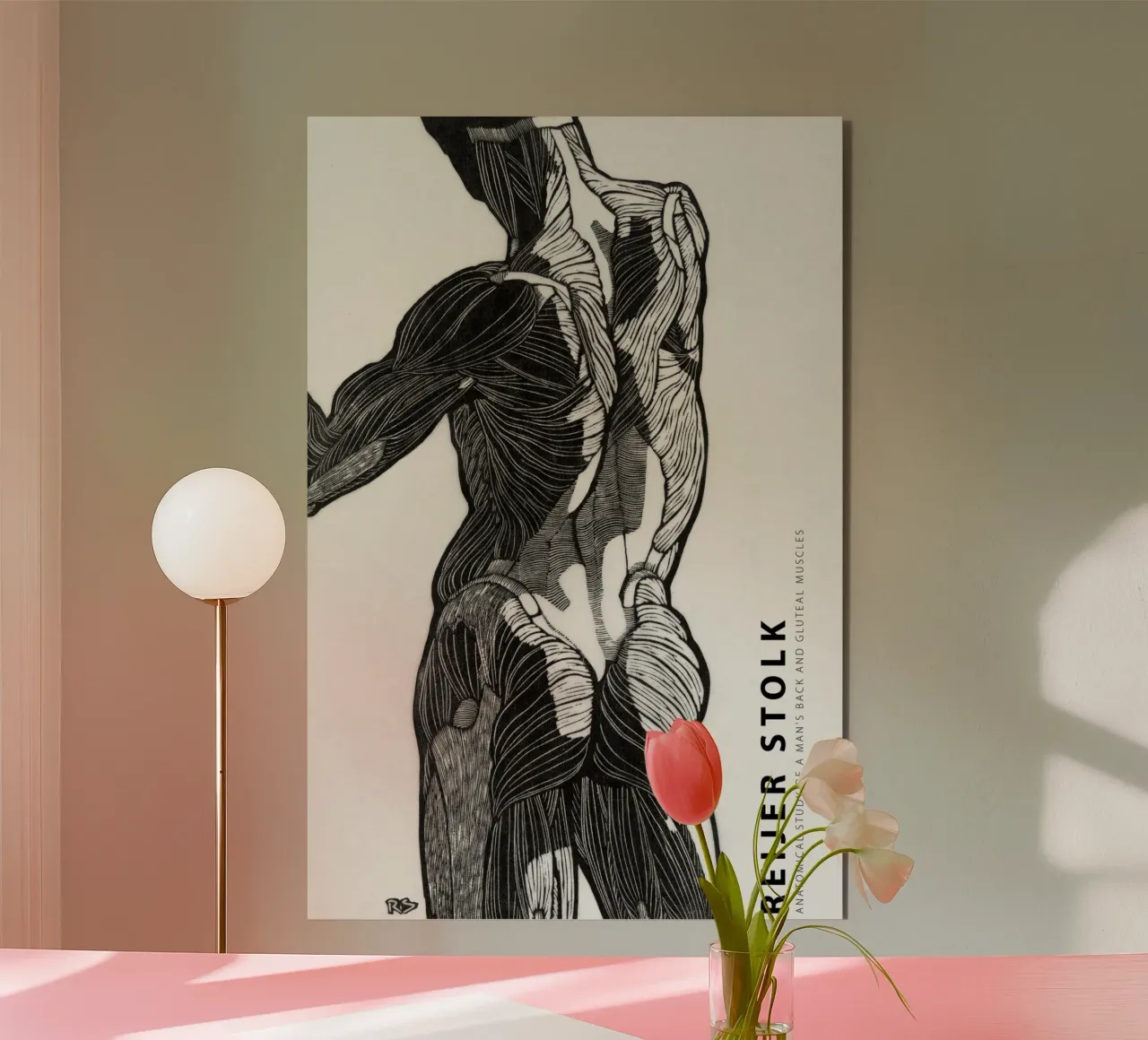 Reijer Stolk - Studio anatomico di un uomo 01 alluminio dibond da Old Masters