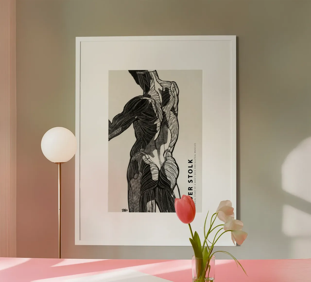 Reijer Stolk - Studio anatomico di un uomo 01 poster da Old Masters