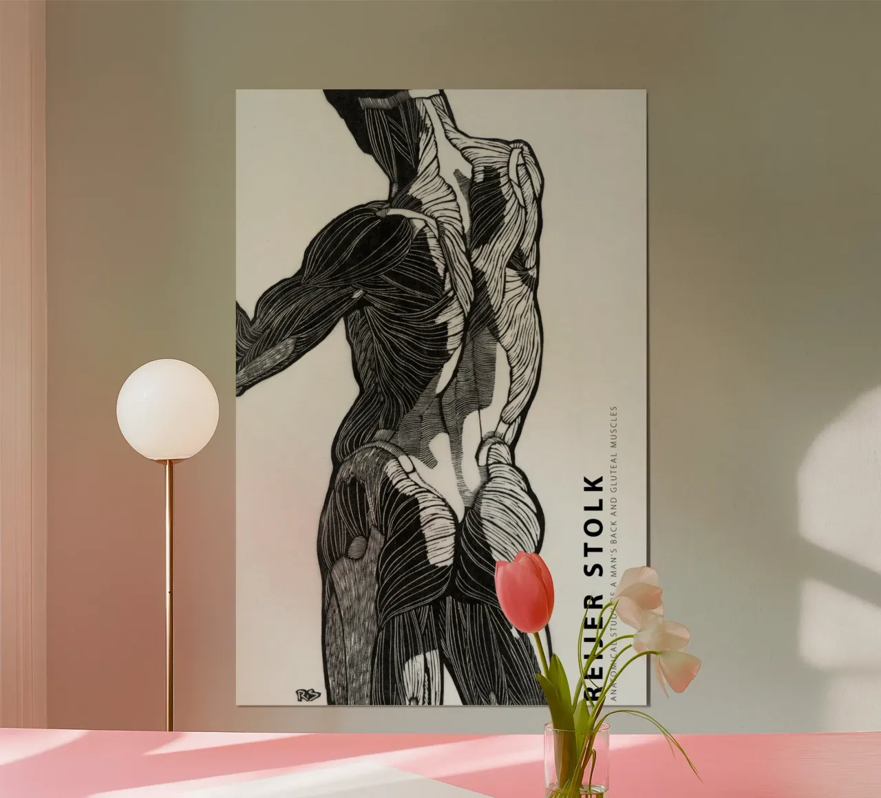 Reijer Stolk - Studio anatomico di un uomo 01 poster da Old Masters