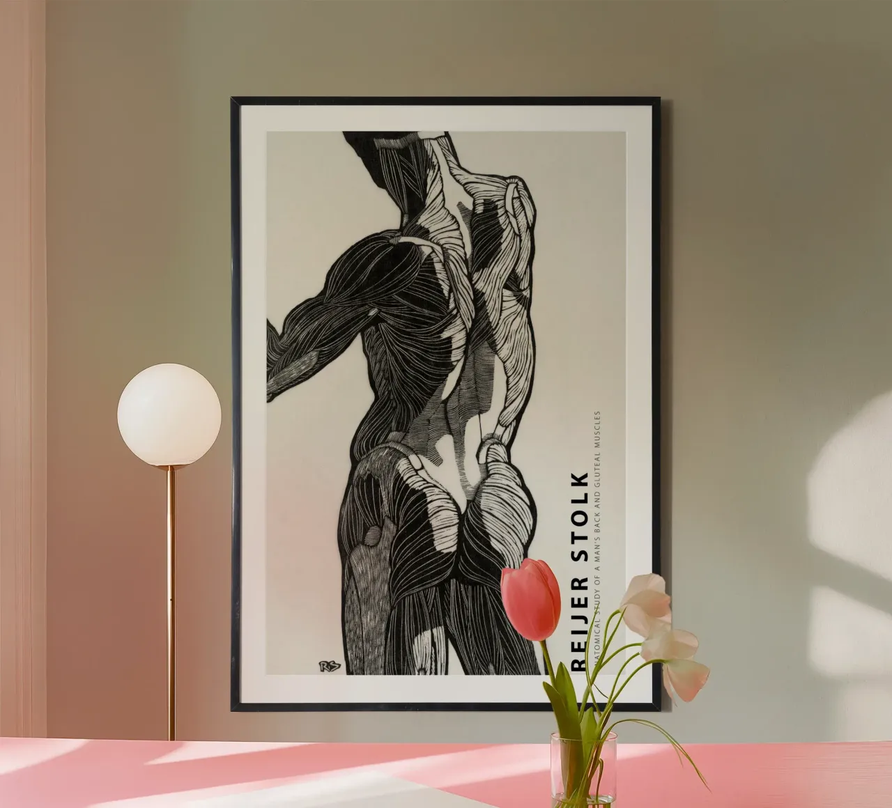 Reijer Stolk - Studio anatomico di un uomo 01 poster da Old Masters