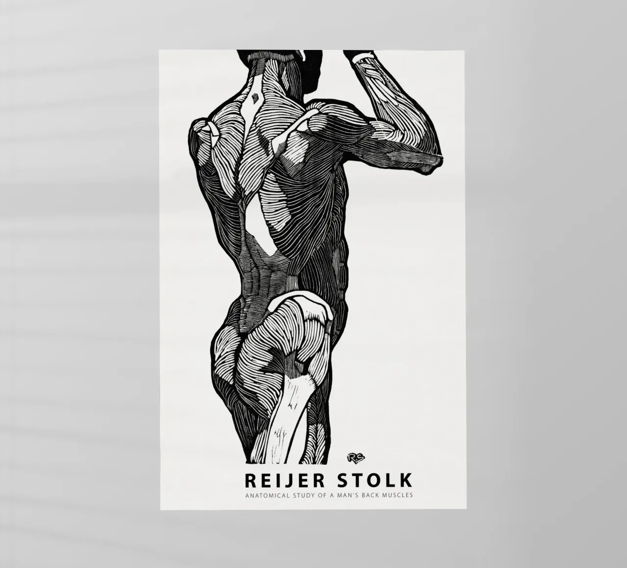 Reijer Stolk - Studio anatomico di un uomo 02 pellicola backlit da Old Masters