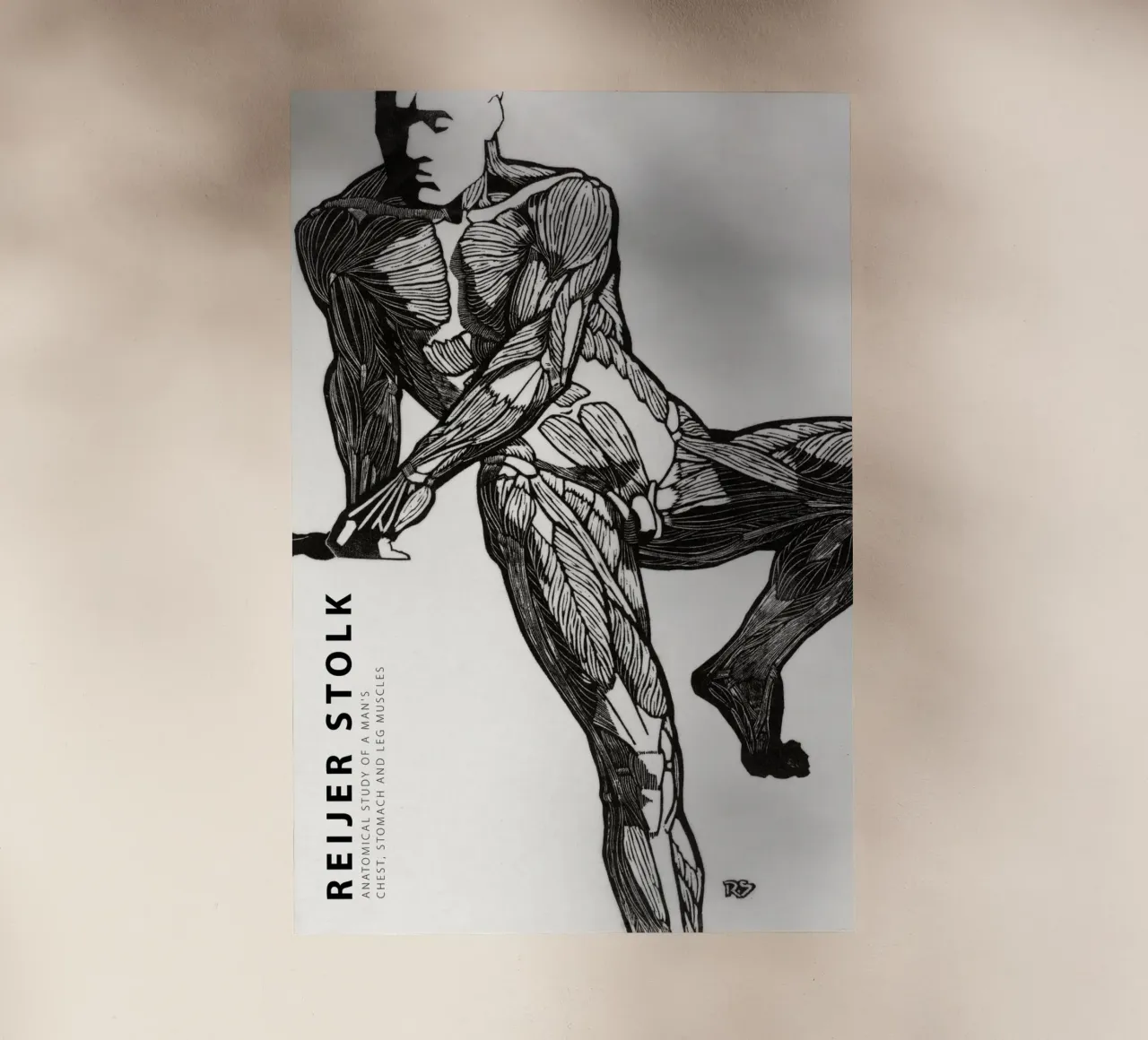 Reijer Stolk - Studio anatomico di un uomo 03 pellicola backlit da Old Masters