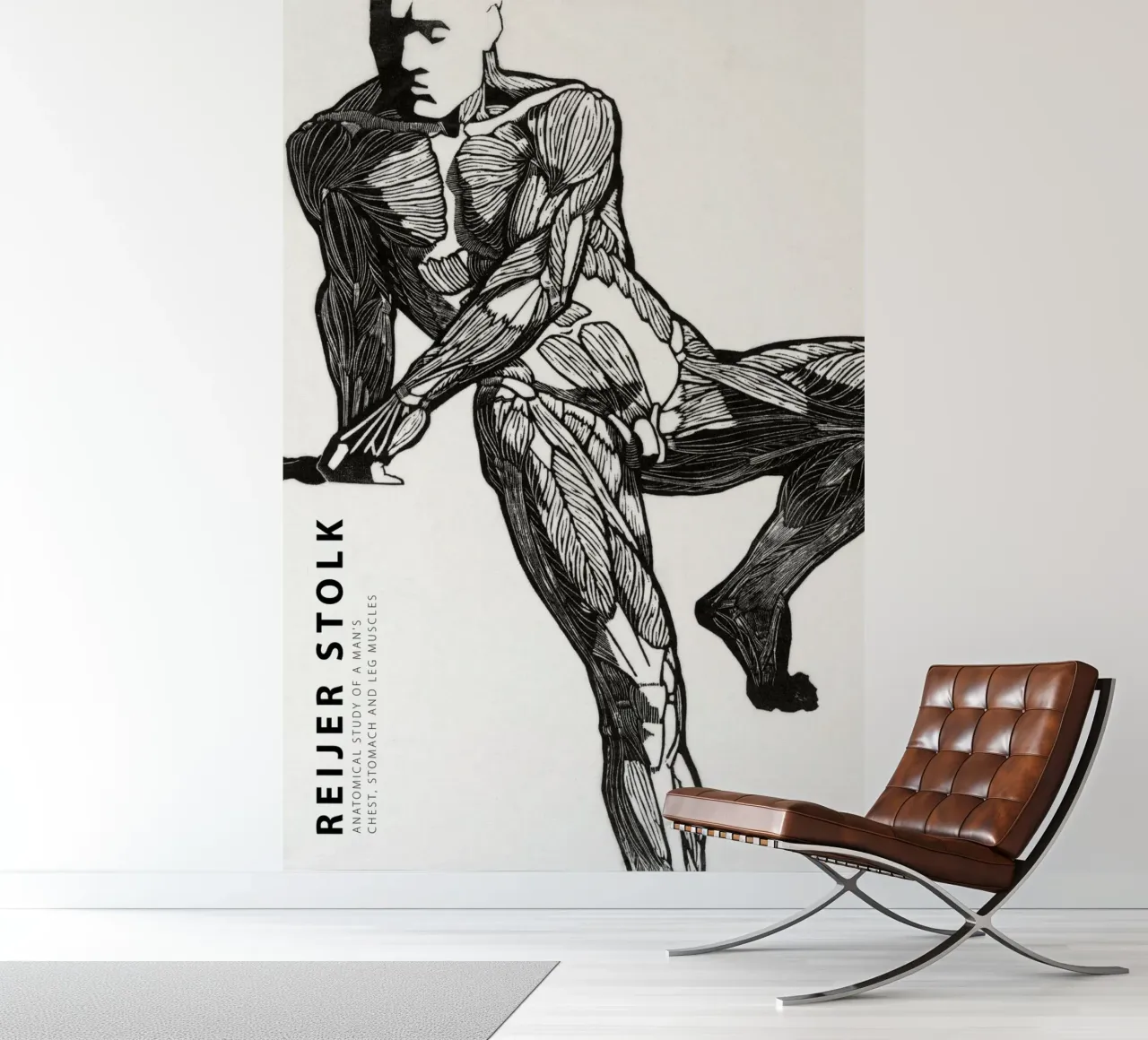 Reijer Stolk - Estudio anatómico de un hombre 03 papel para pared de Old Masters