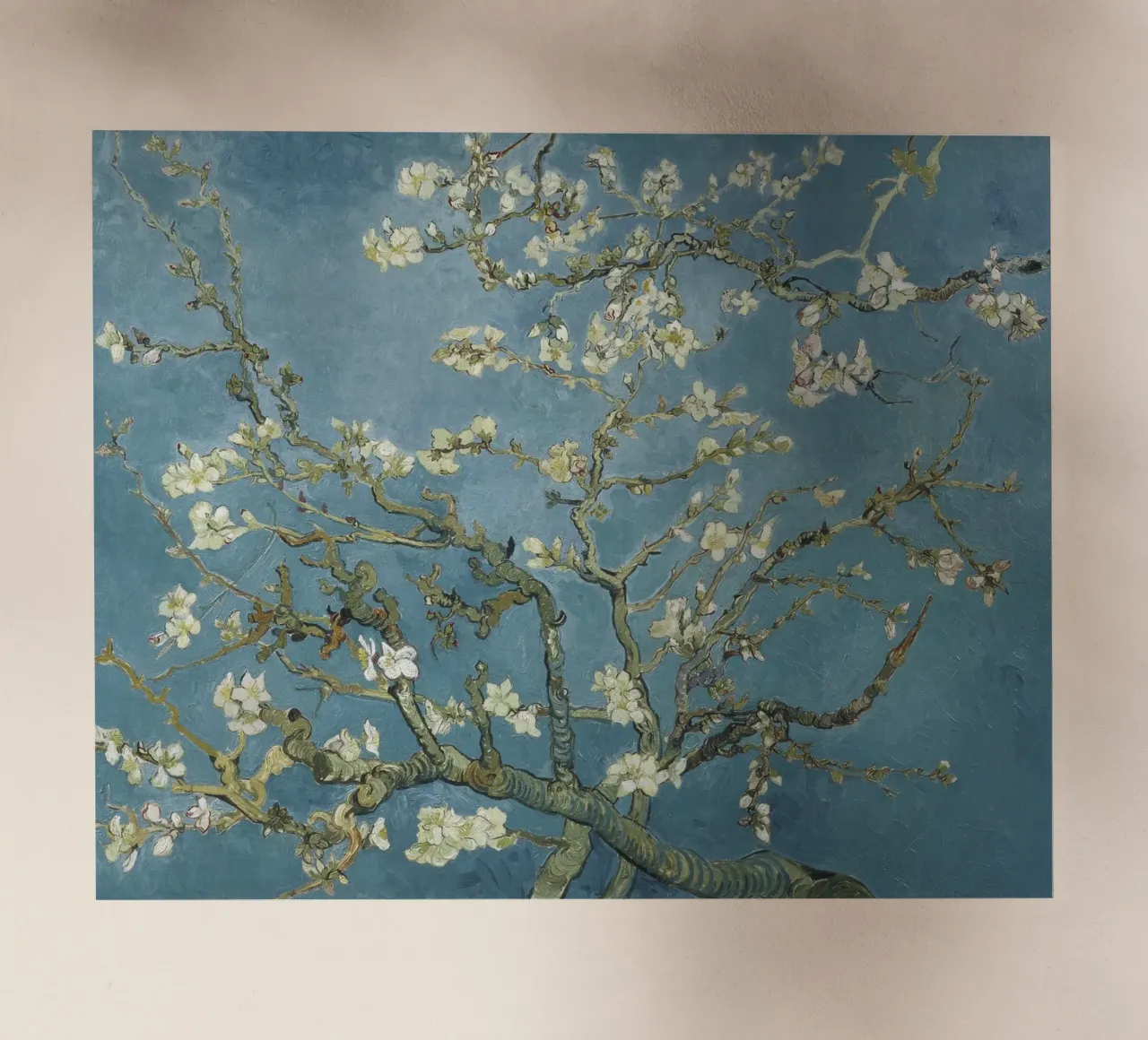 Mandorlo in fiore di Vincent van Gogh pellicola backlit da Venus Art