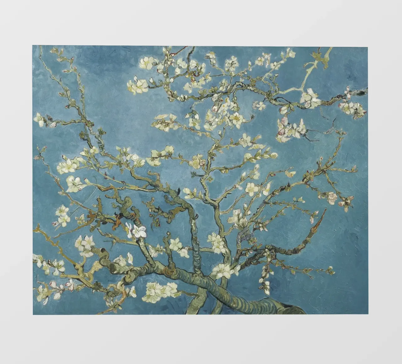 Almond Blossom by Vincent van Gogh photo wallpaper by Venus Art