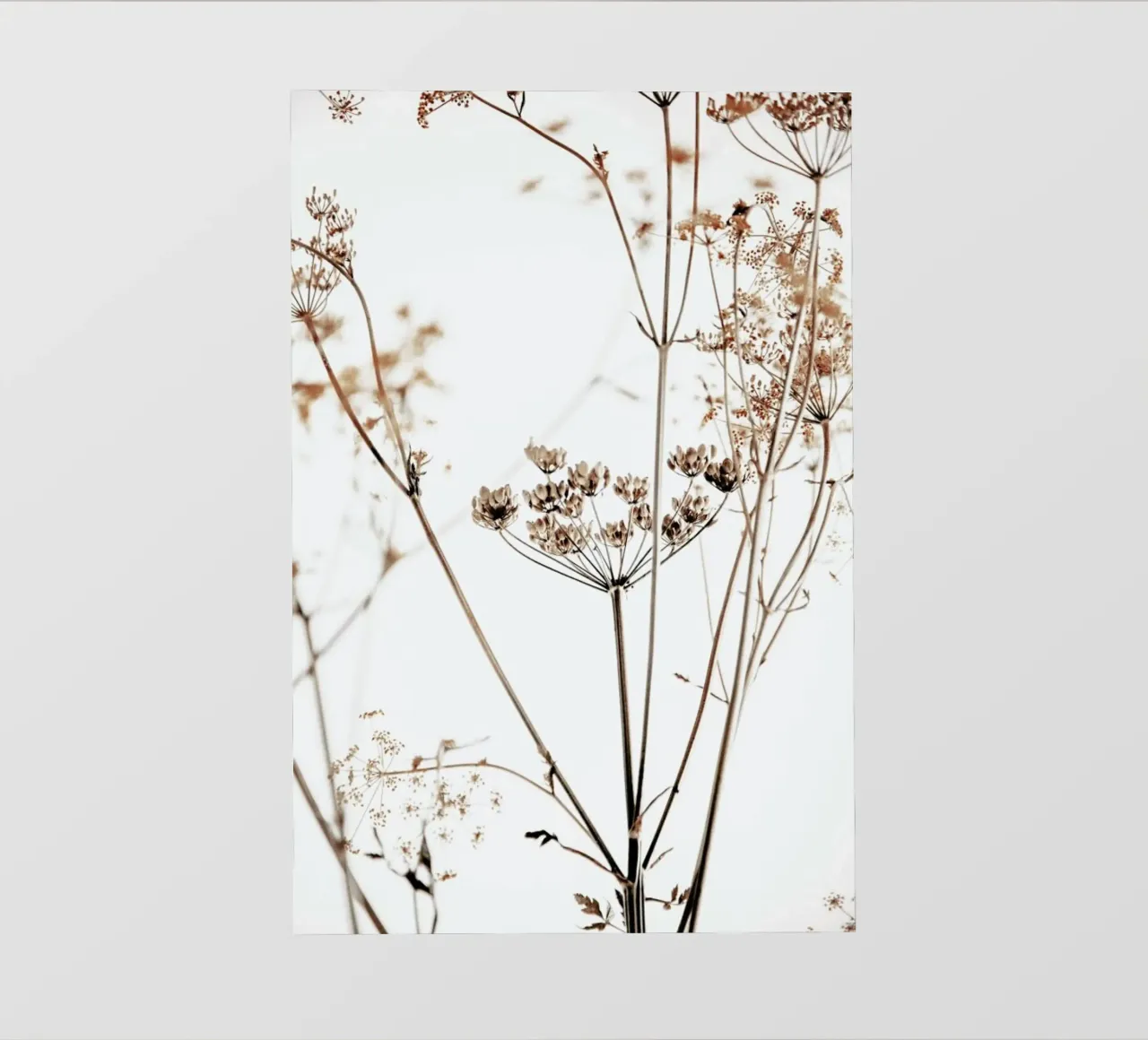 Anemtum 8 - Getrocknete Wildblumen telo in pvc da Monika Strigel