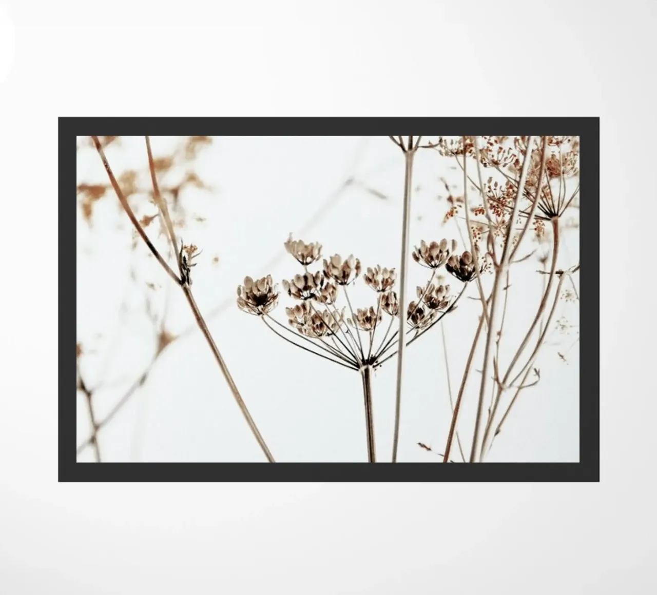 Anemtum 8 - Getrocknete Wildblumen zerbino da Monika Strigel