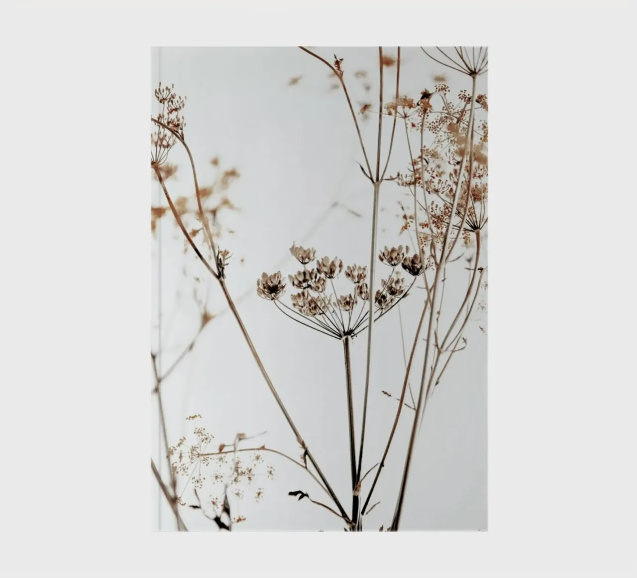 Anemtum 8 - Getrocknete Wildblumen carnet de notes de Monika Strigel