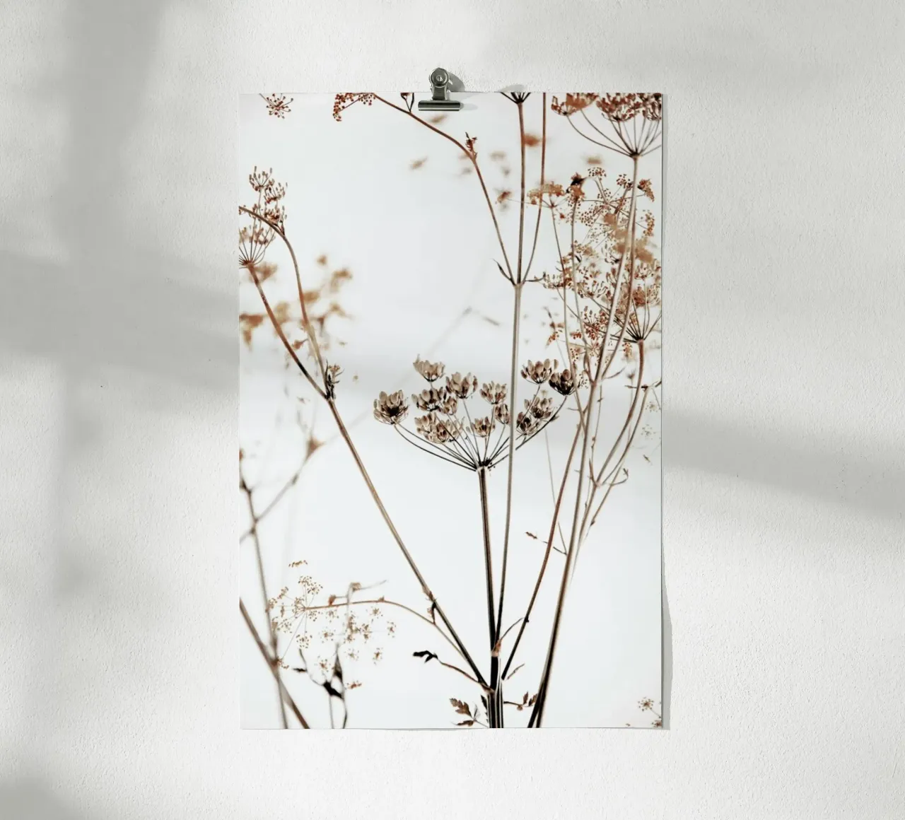 Anemtum 8 - Getrocknete Wildblumen carta hahnemühle da Monika Strigel