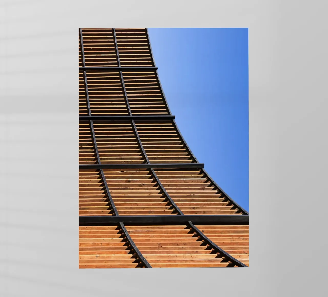 Curve pellicola backlit da rafael campezato