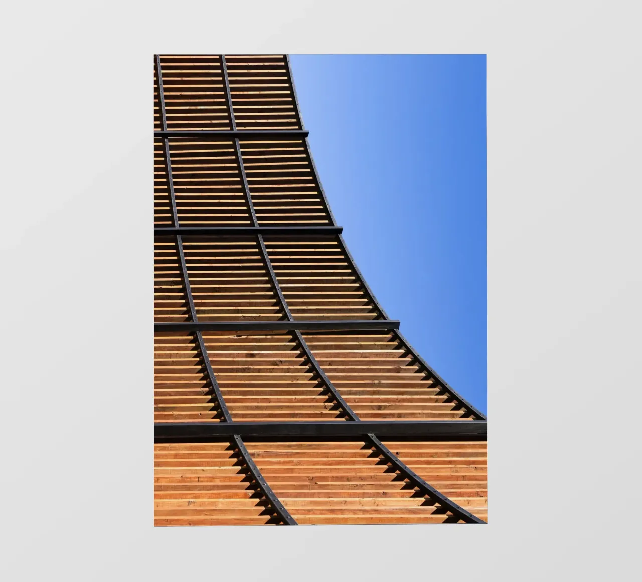 Curve pellicola backlit da rafael campezato