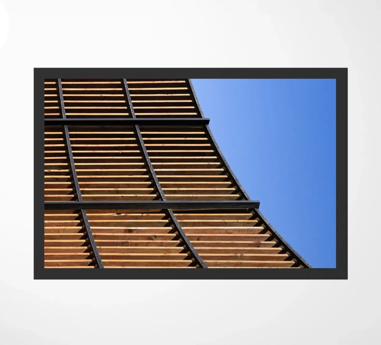 Curve zerbino da rafael campezato