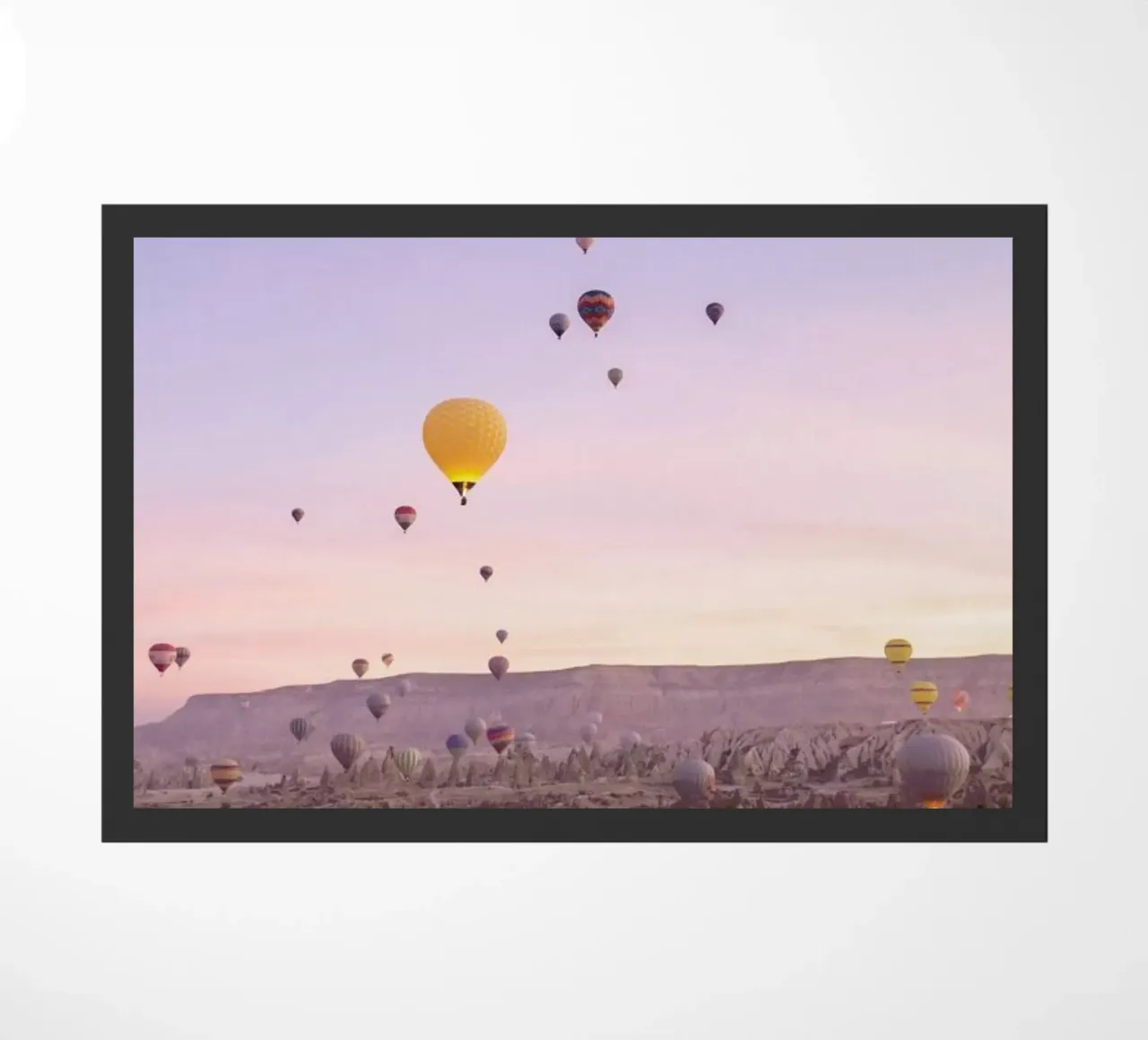 Exploring the Sky II zerbino da METROPOLIS