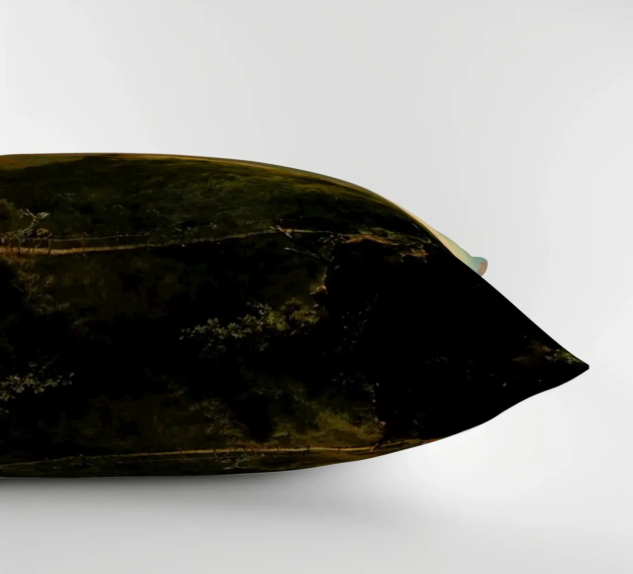 The Path To Enlightenment decorative cushion by Jason Brueck