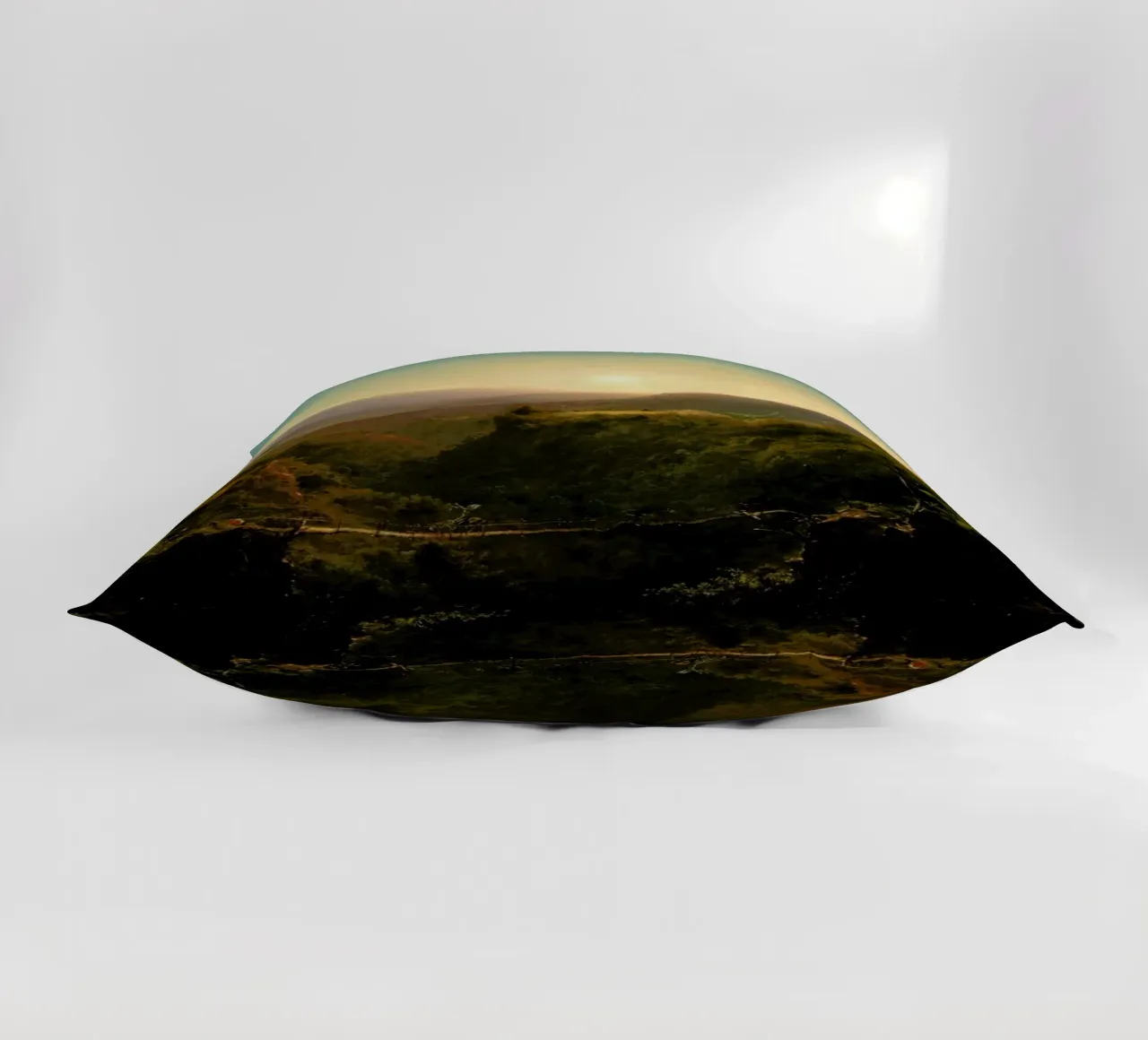 The Path To Enlightenment decorative cushion by Jason Brueck