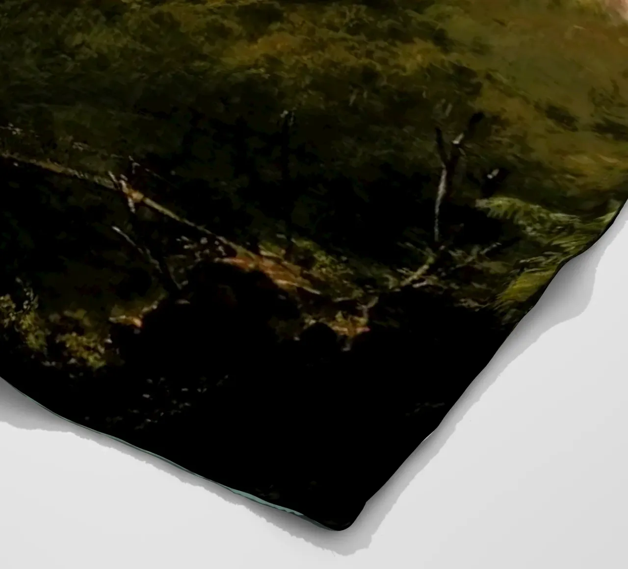 The Path To Enlightenment coperta in pile da Jason Brueck