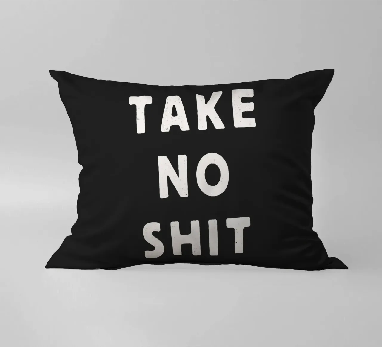 Take No Shit Sassy Sarcastic Typography Print in Black White decorative cushion by THE MOTIVATED TYPE