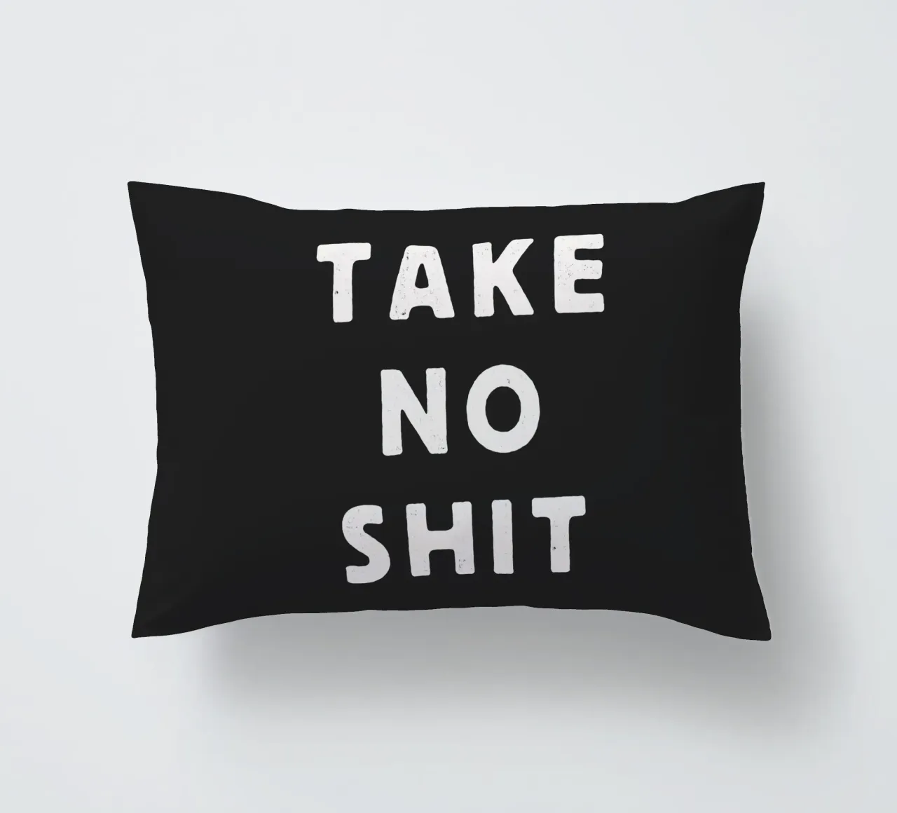 Take No Shit Sassy Sarcastic Typography Print in Black White decorative cushion by THE MOTIVATED TYPE