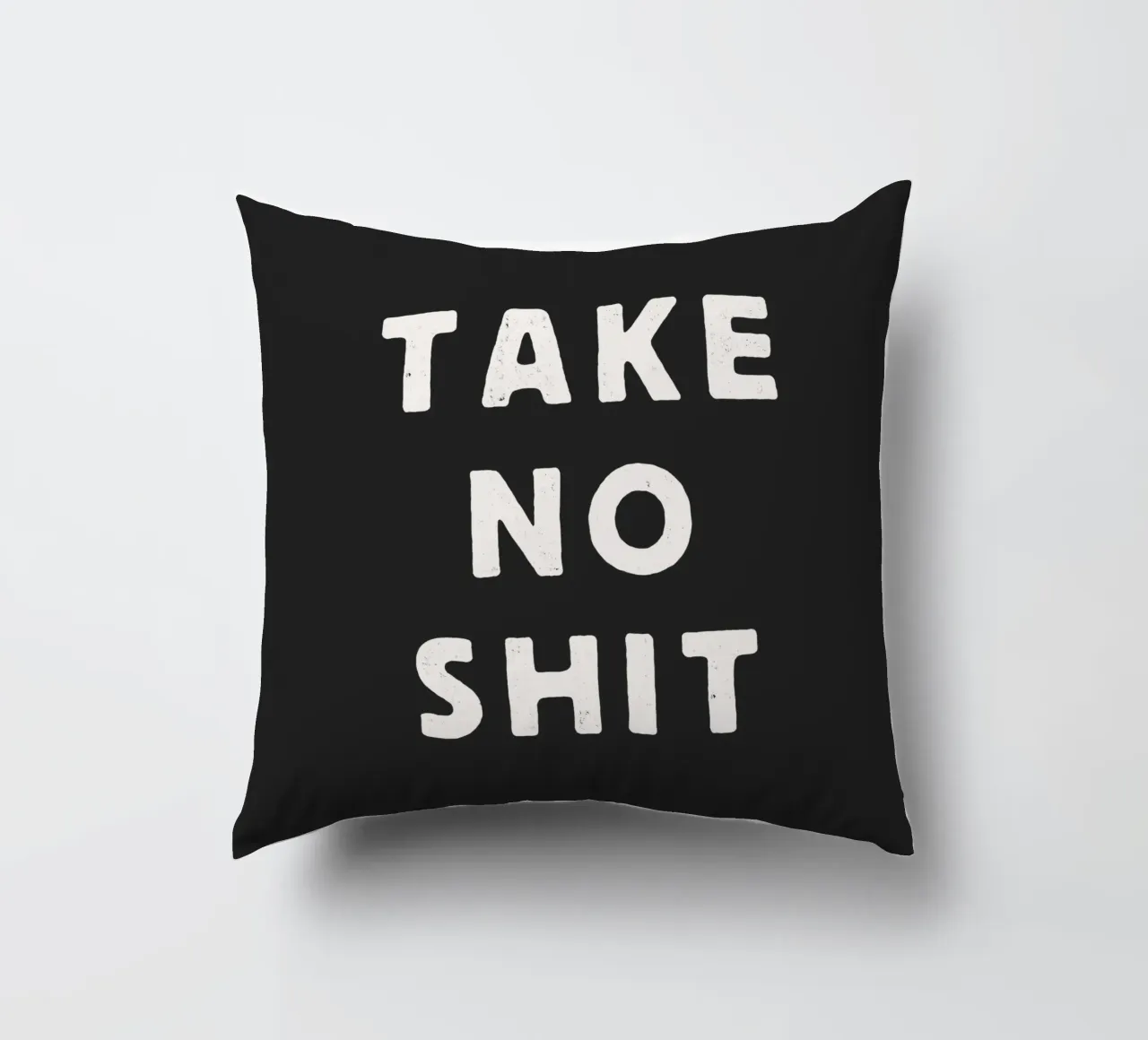 Take No Shit Sassy Sarcastic Typography Print in Black White decorative cushion by THE MOTIVATED TYPE