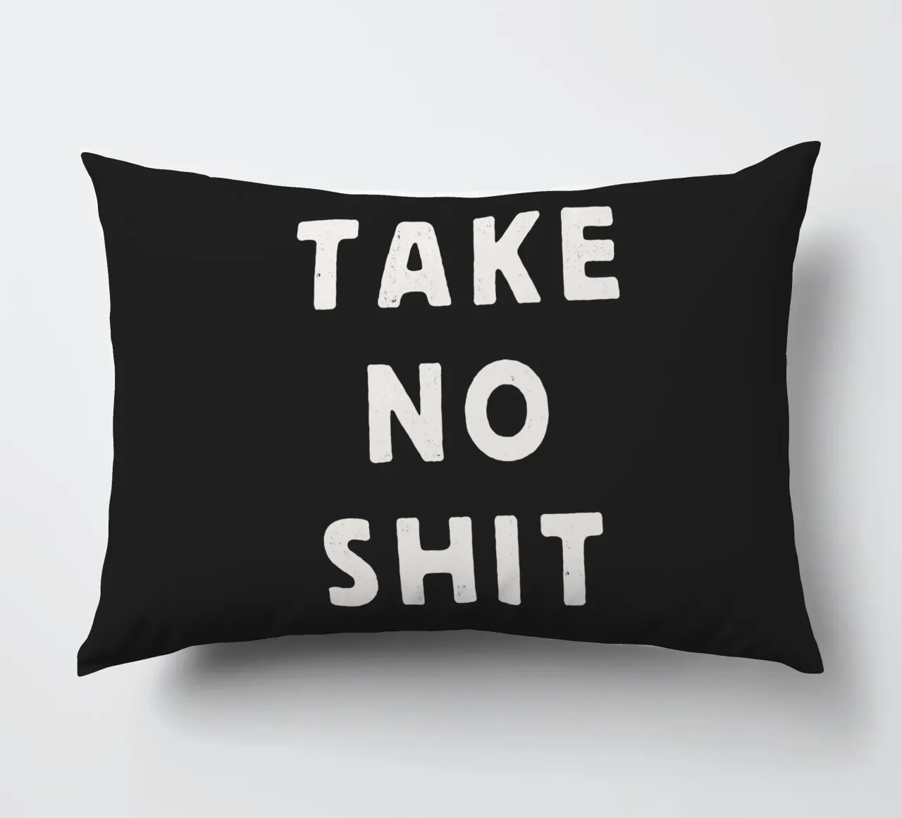 Take No Shit Sassy Sarcastic Typography Print in Black White decorative cushion by THE MOTIVATED TYPE